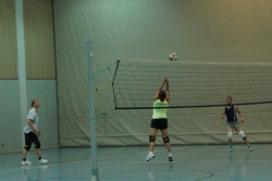 Volleyball-Erwachsene